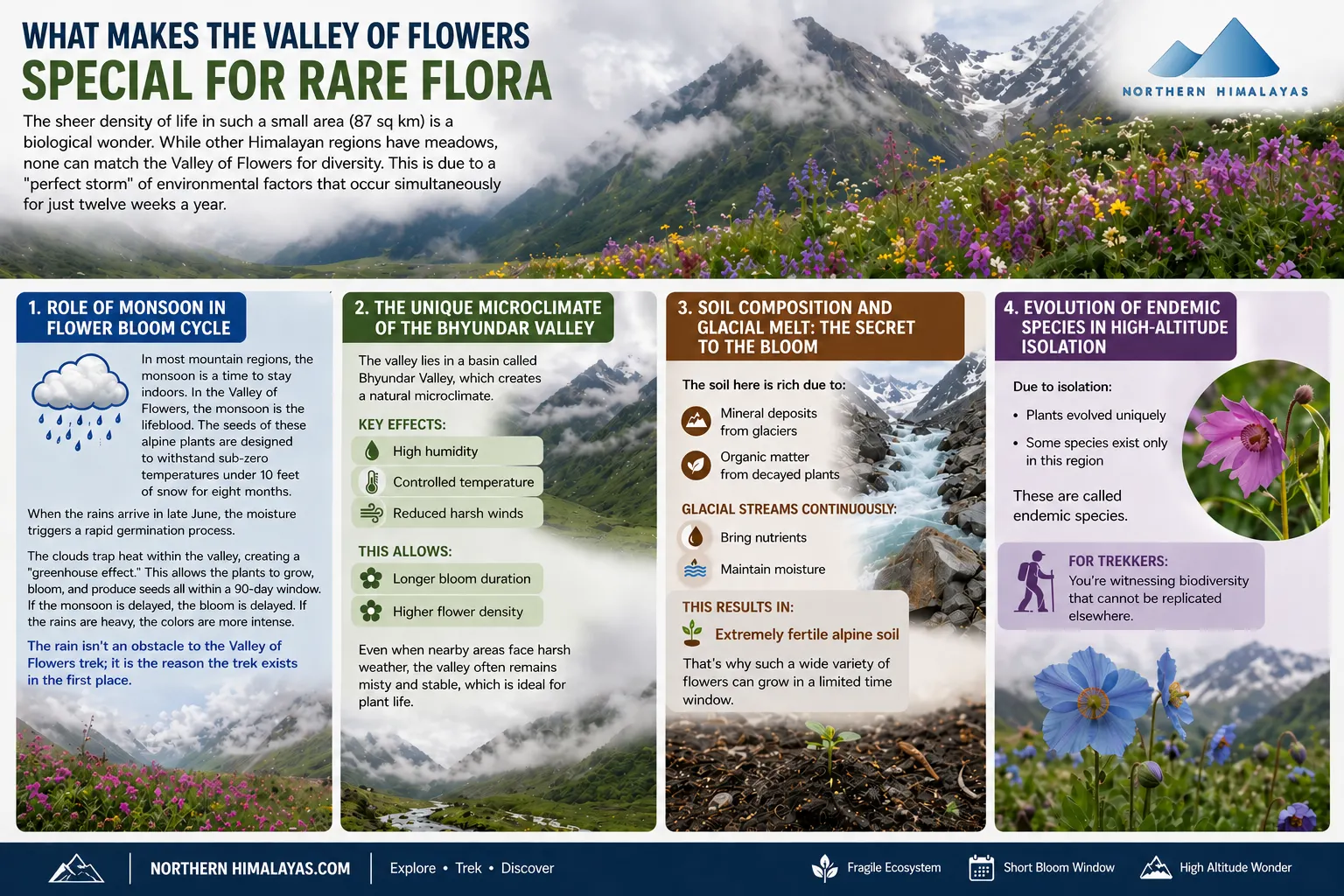 Valley of Flowers special for rare flora