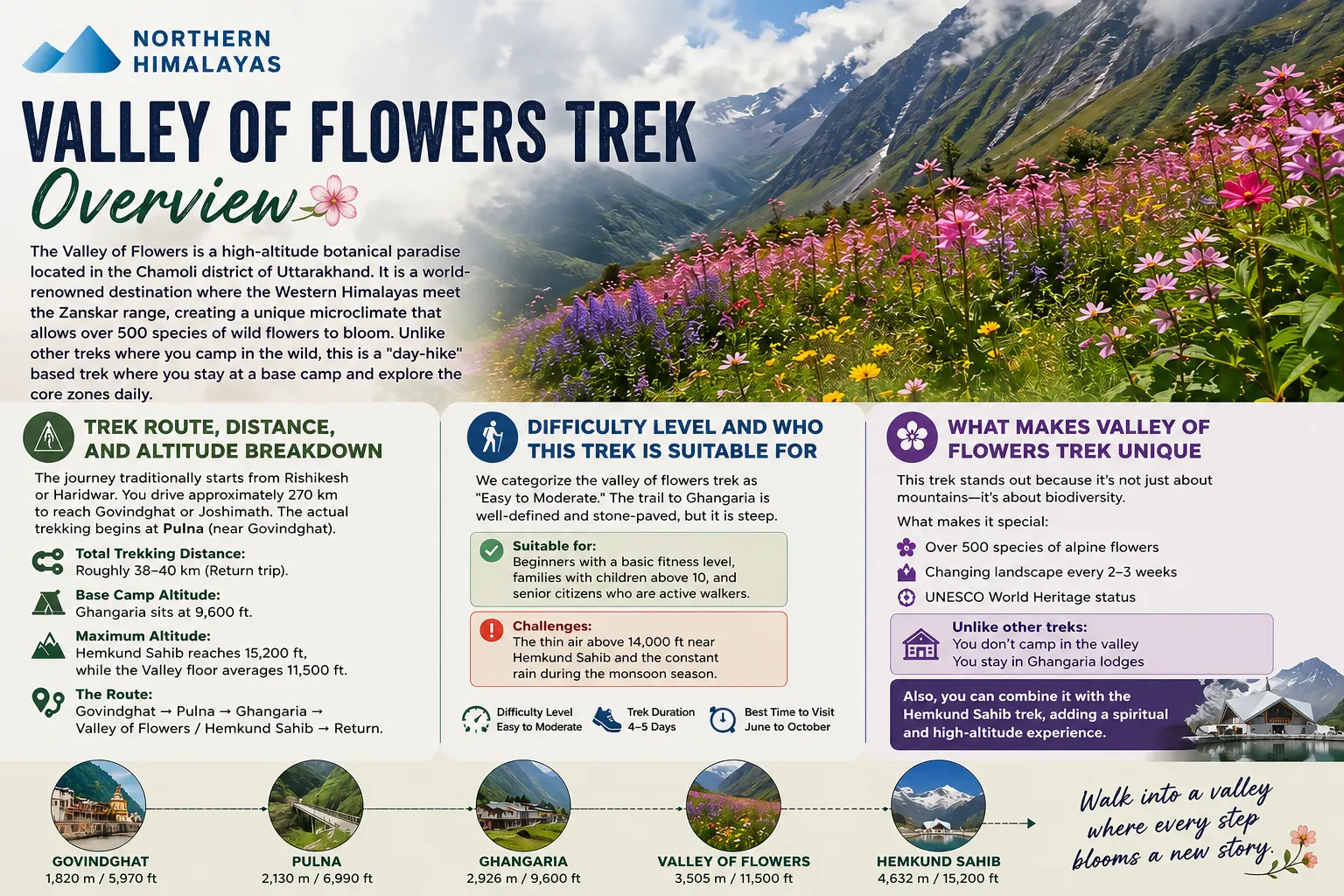 valley of flowers overview image information