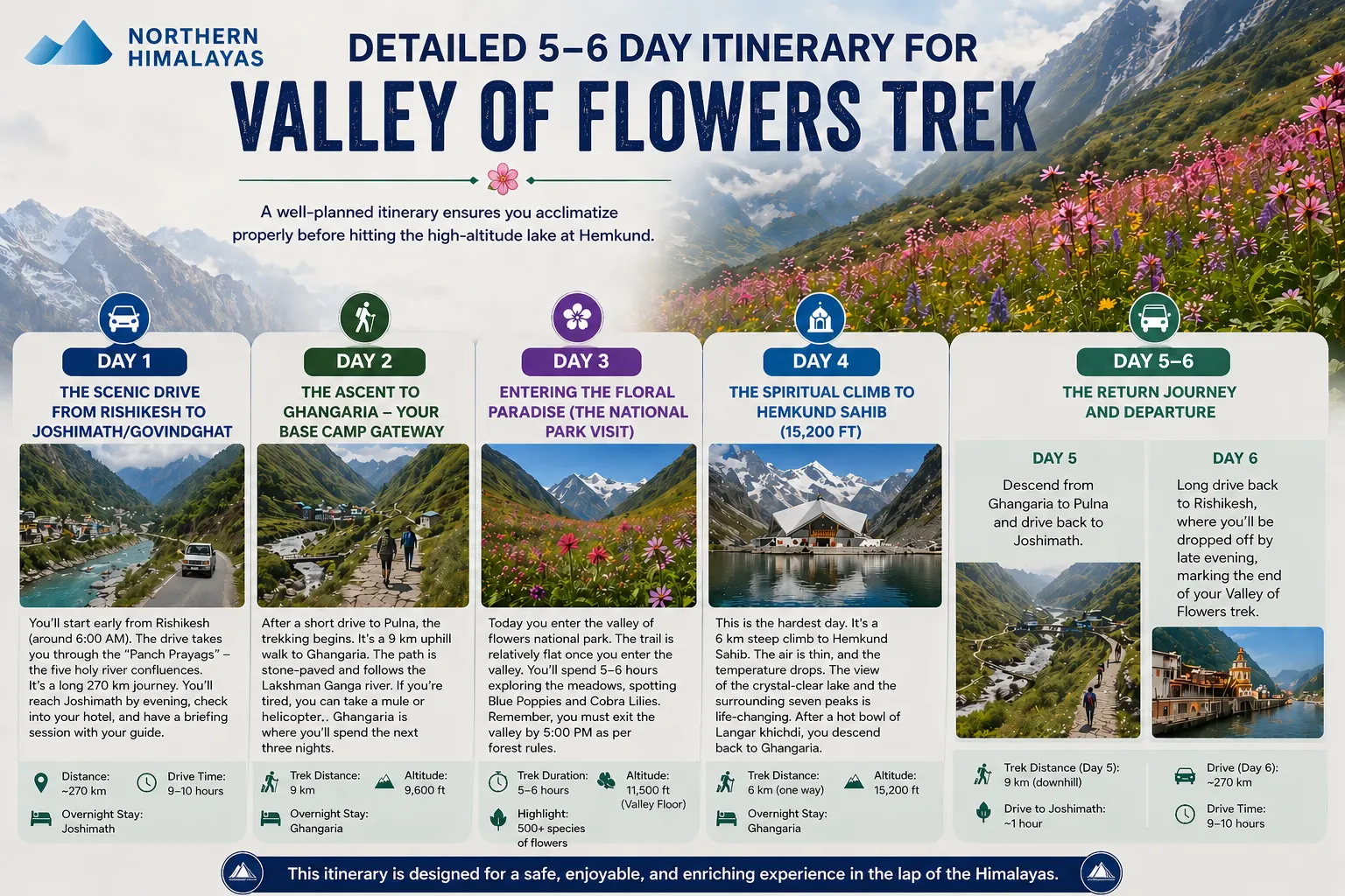 Detailed 5–6 Day Itinerary for Valley of Flowers Trek